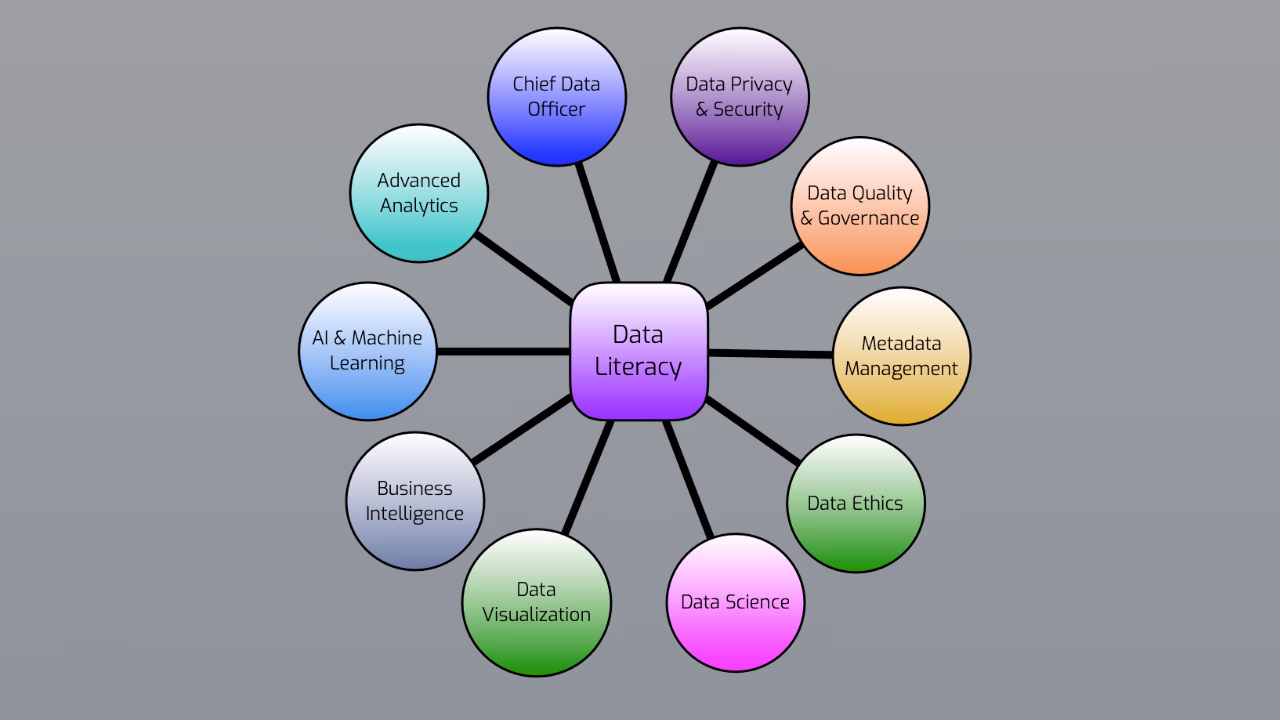 Preview image of the work "Data Literacy Infographic 👓: A perspective on what it means to be data literate"